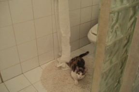 AYX GAMING-传统赛事创新：加入更多互动元素吸引年轻群体